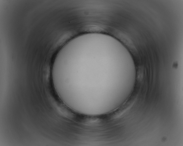 X0000101110206200807171944