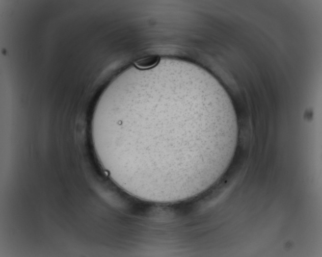 X0000101110207200807171944