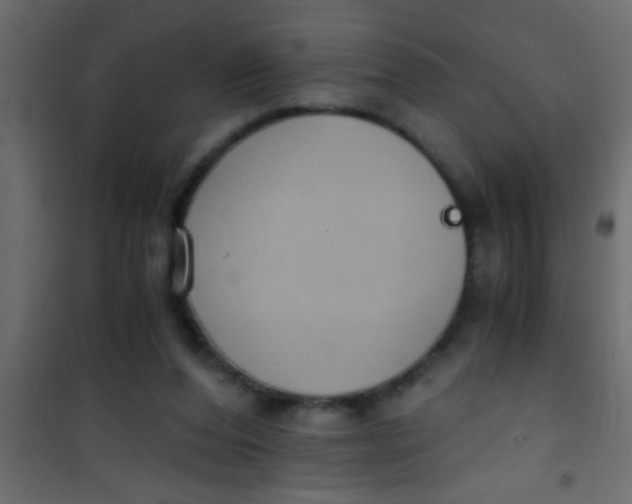 X0000101110208200807171944