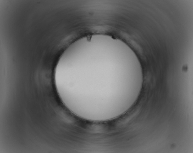 X0000101110209200807171944