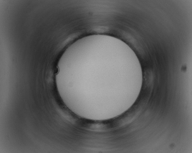 X0000101110212200807171944