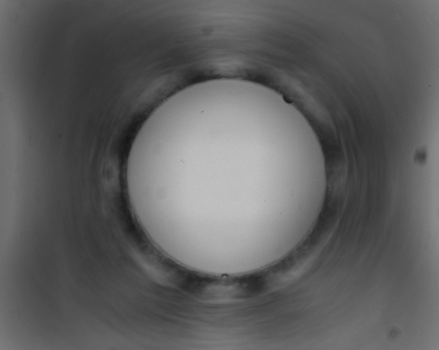 X0000101110213200807171944