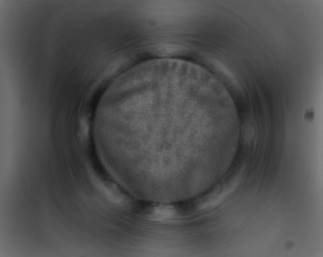 X0000101110214200807171944