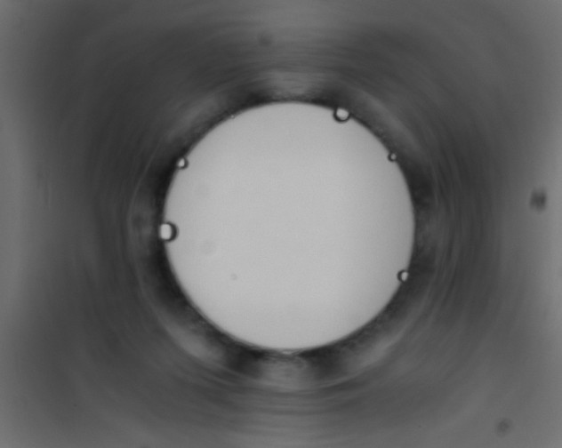 X0000101110215200807171944