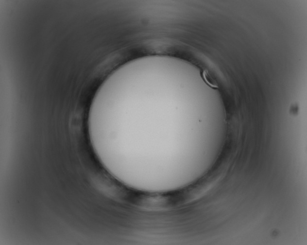 X0000101110217200807171944