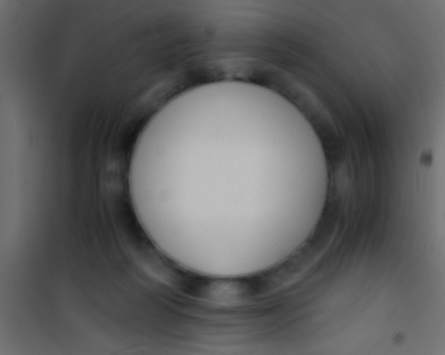 X0000101110218200807171944