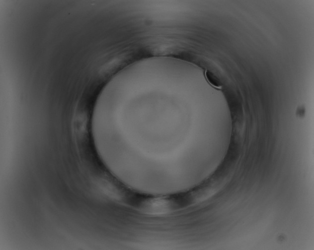 X0000101110219200807171944