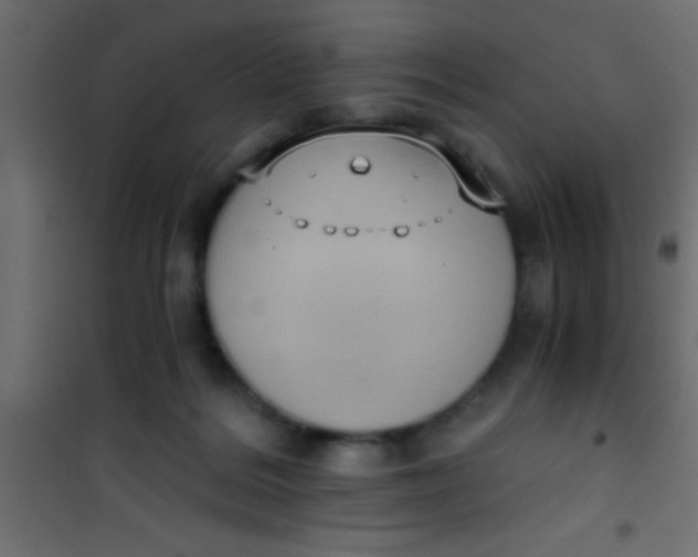 X0000101110220200807171944