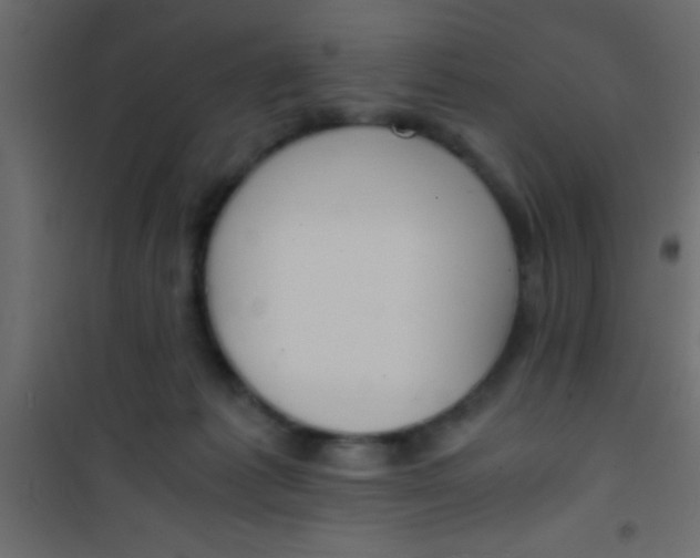 X0000101110221200807171944