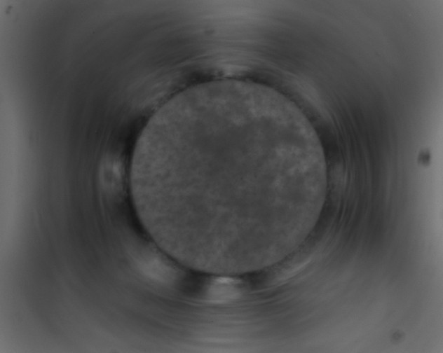 X0000101110222200807171944