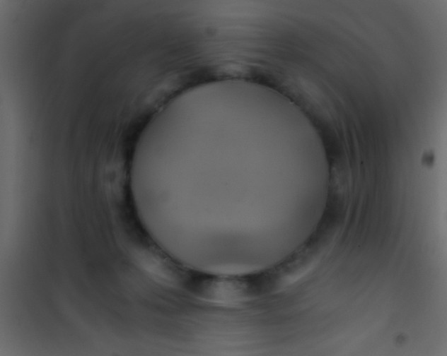 X0000101110223200807171944