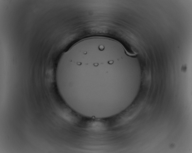 X0000101110224200807171944