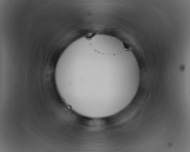 X0000101110225200807171944