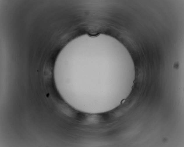 X0000101110226200807171944