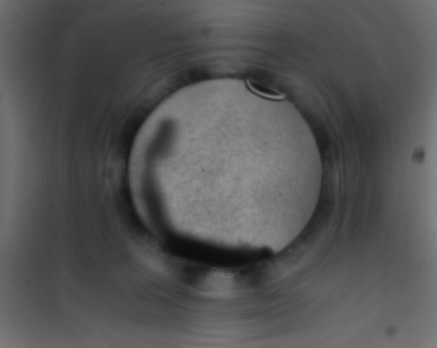 X0000101110227200807171944