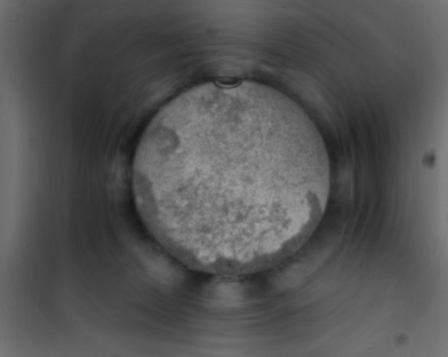 X0000101110228200807171944