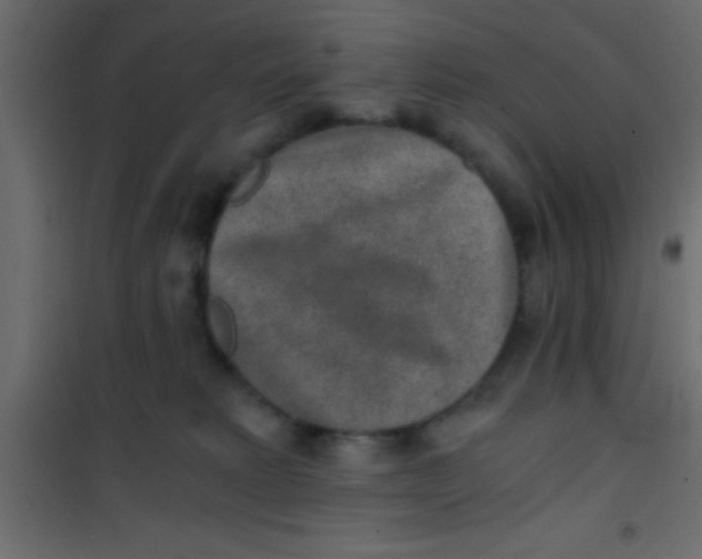 X0000101110229200807171944