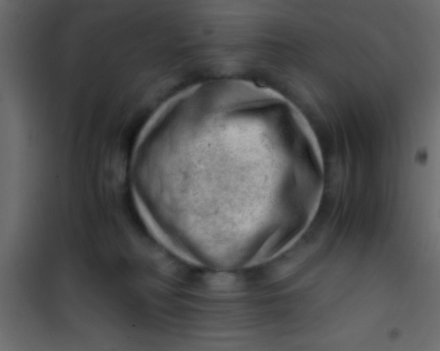 X0000101110230200807171944