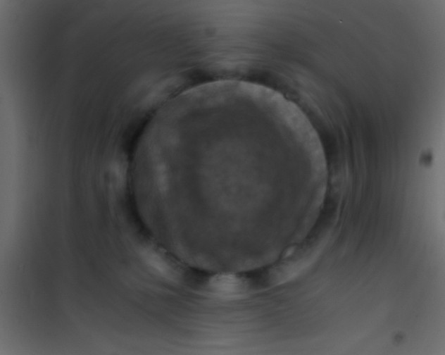 X0000101110231200807171944