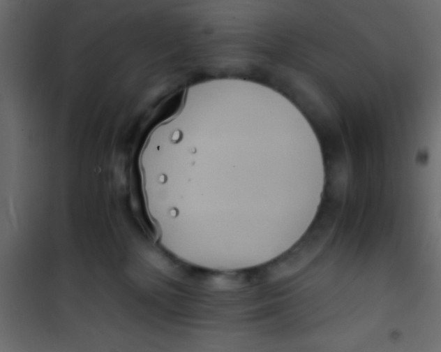 X0000101110232200807171944