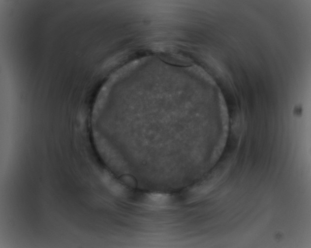 X0000101110233200807171944