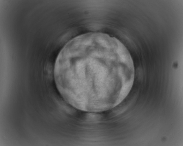 X0000101110234200807171943