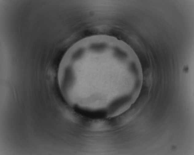 X0000101110235200807171943