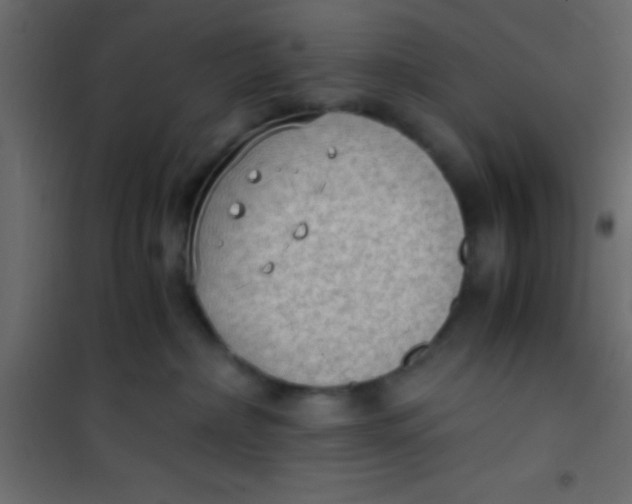 X0000101110236200807171943