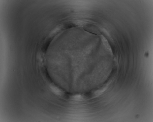 X0000101110237200807171943