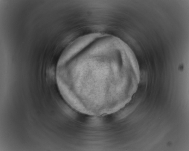 X0000101110238200807171943