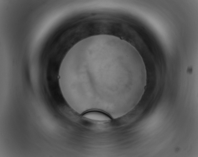 X0000101110239200807171943