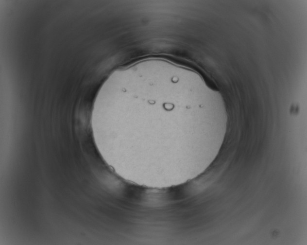 X0000101110240200807171943