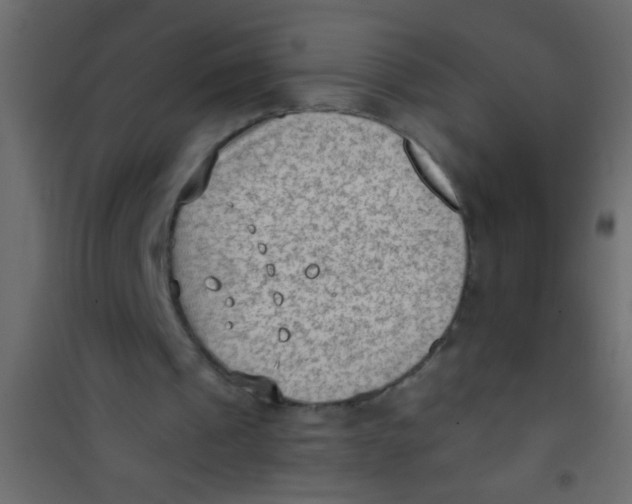 X0000101110241200807171943