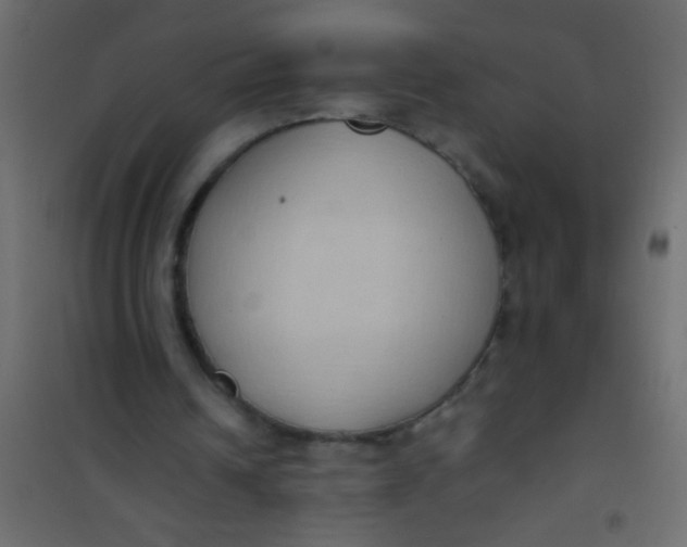 X0000101110242200807171943