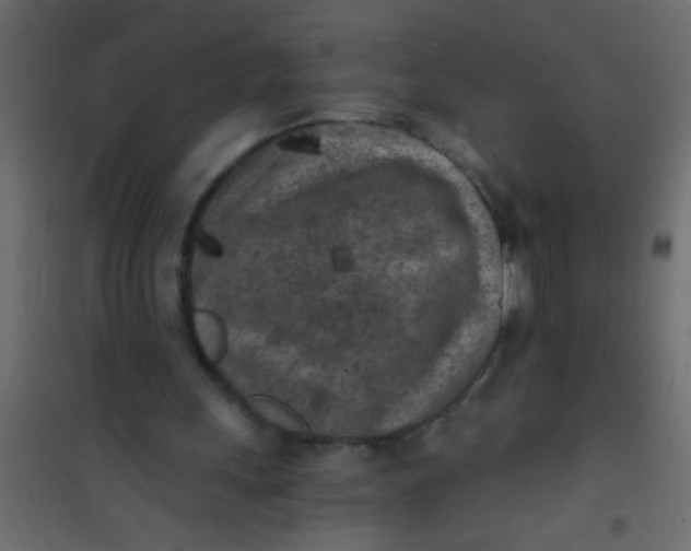 X0000101110243200807171943