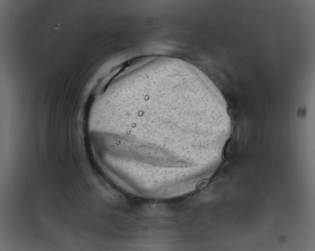 X0000101110244200807171943