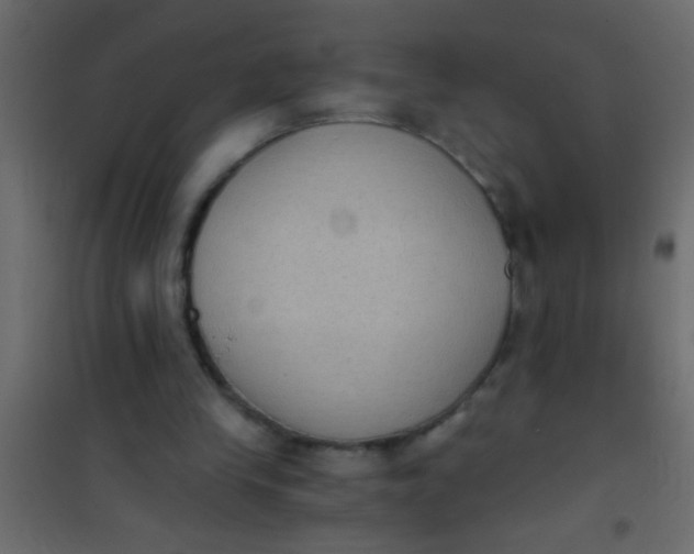 X0000101110245200807171943