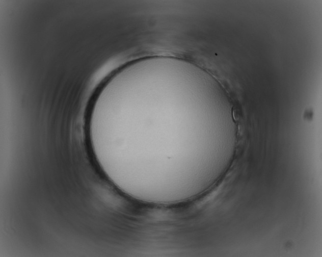 X0000101110246200807171943