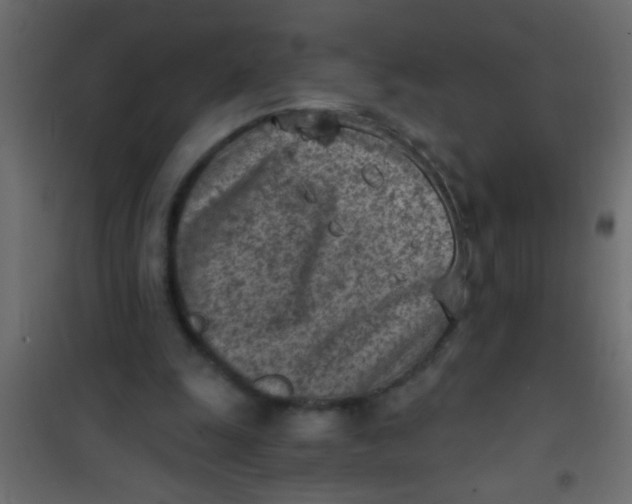 X0000101110247200807171943