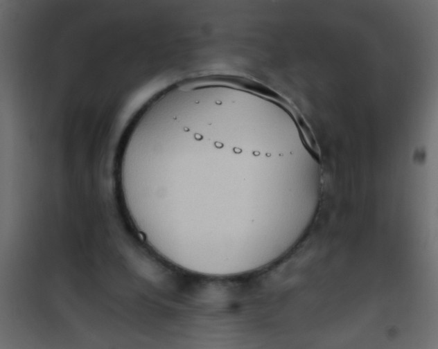 X0000101110248200807171943