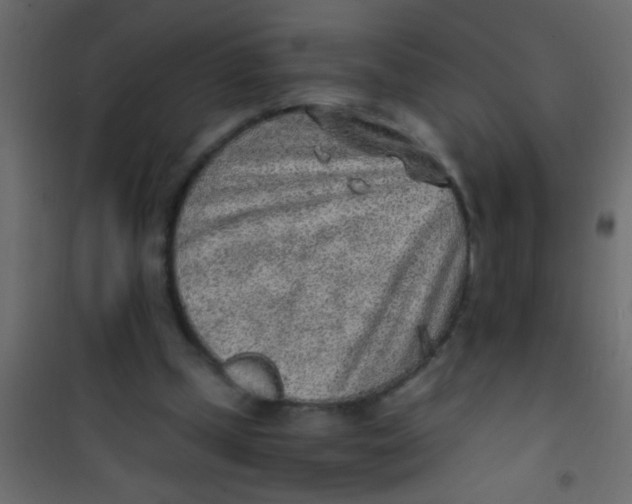 X0000101110249200807171943