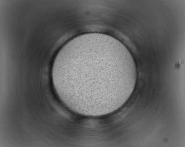 X0000101110250200807171943