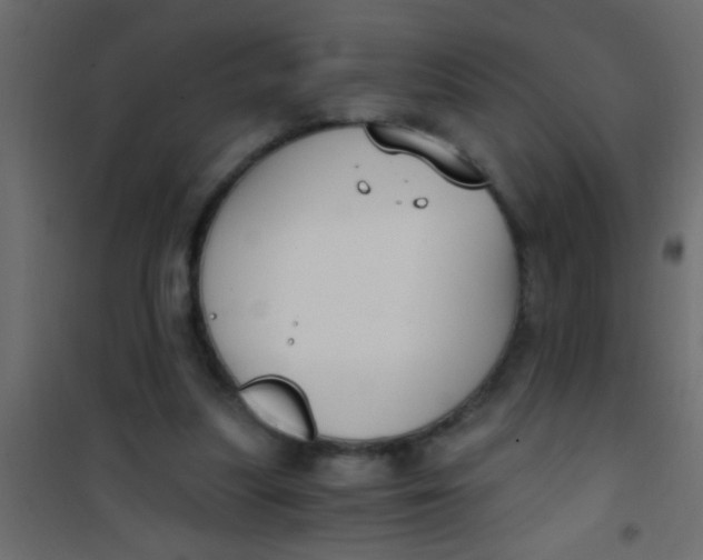 X0000101110251200807171943