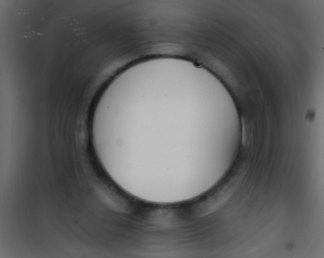 X0000101110252200807171943