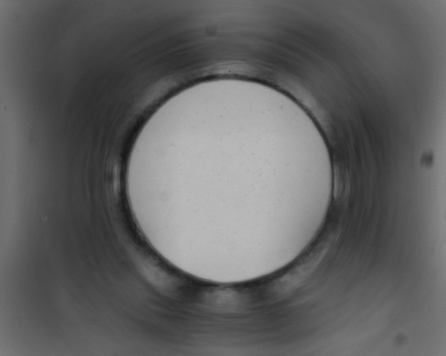 X0000101110253200807171943