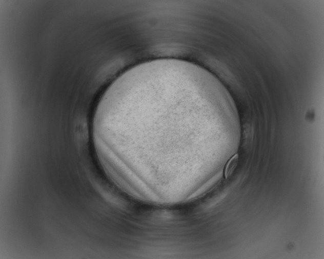 X0000101110254200807171943