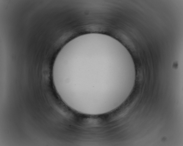 X0000101110255200807171943