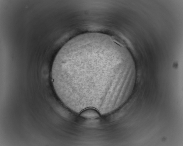 X0000101110257200807171943