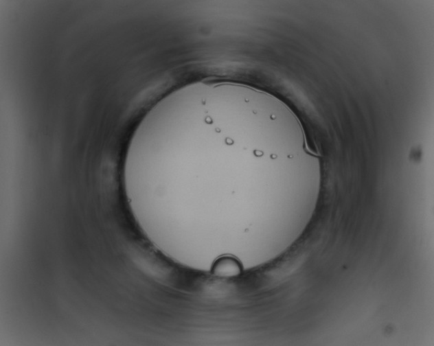 X0000101110258200807171943