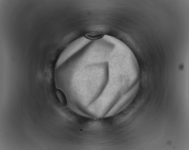 X0000101110259200807171943